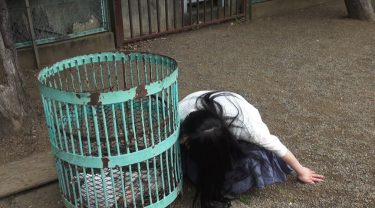 催○モルモットF