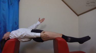 催○モルモットL